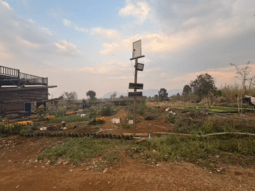 happy shared farm potager