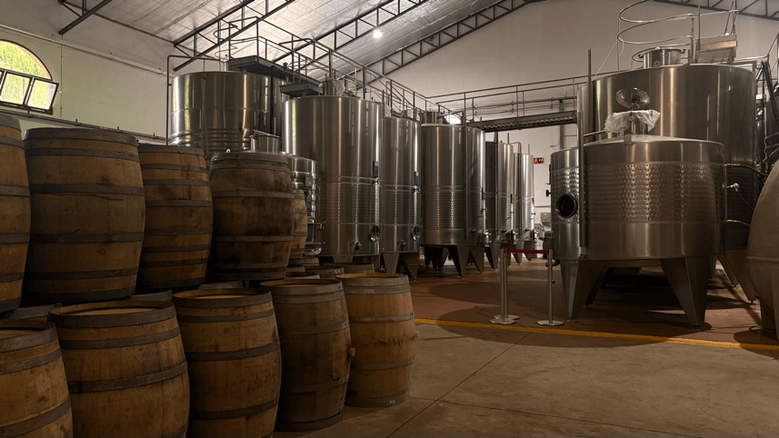 campos-de-solana cuves