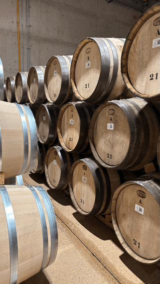 casa real tarija barriques