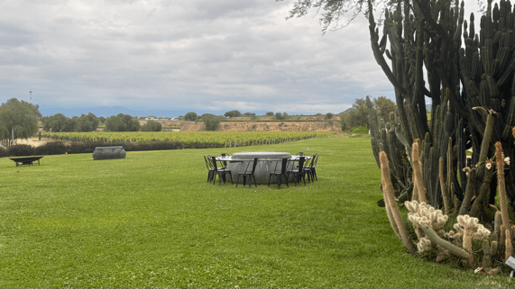 casa real tarija jardin dehors