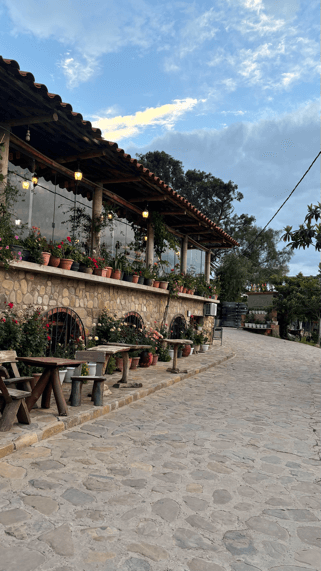 casa vieja tarija terrasse