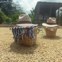 agua bonita filandia eje cafetero