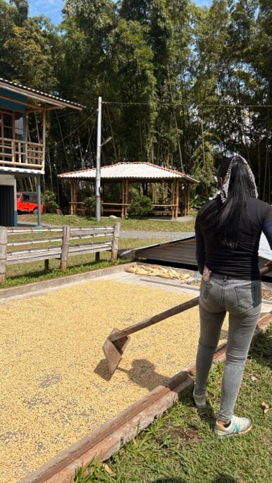 sechage café soleil