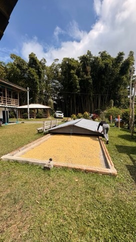 secheur café soleil