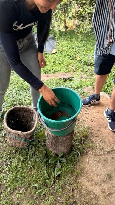 filtrage café à l'eau