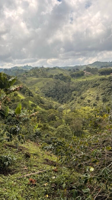 vue finca agua bonita